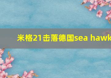 米格21击落德国sea hawk